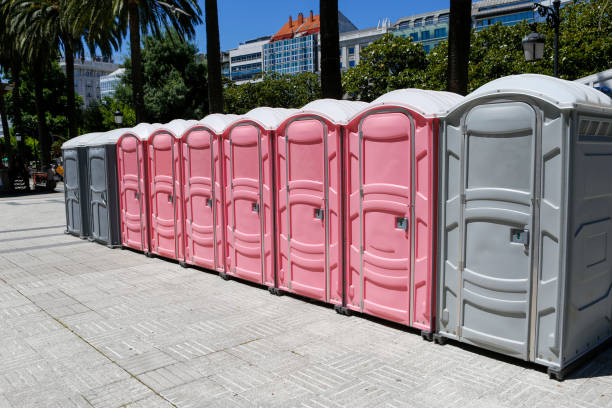 Best Portable Toilets with Baby Changing Stations  in Lake Mohegan, NY